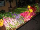 May 17, 2007
