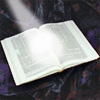 Torah Studies
